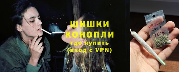 сатива Белоозёрский