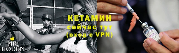 дмт Богданович