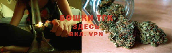 тгк Богородск