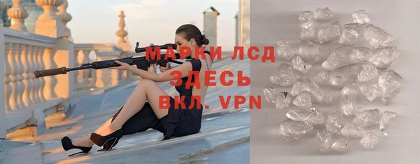 дмт Богданович