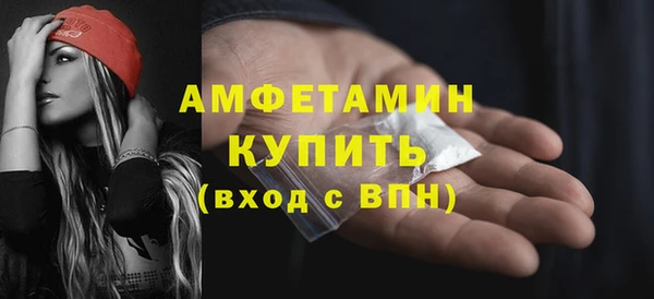 гидра Богородицк