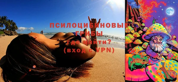 сатива Белоозёрский