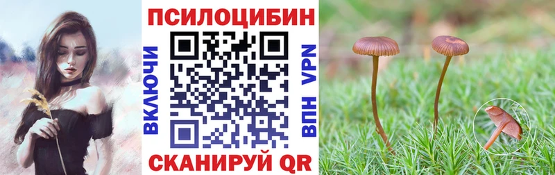 Галлюциногенные грибы прущие грибы  наркота  Гороховец 